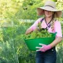 Red Gorilla Small Shallow Multipurpose Flexi Tub - 15 Litre (Red) additional 9