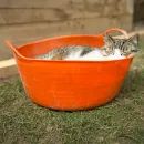 Red Gorilla Small Shallow Multipurpose Flexi Tub - 15 Litre (Red) additional 2