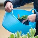 Red Gorilla Small Shallow Multipurpose Flexi Tub - 15 Litre (Red) additional 8