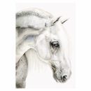 Deckled Edge Eureka! Card additional 1