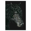 Deckled Edge Eureka! Card additional 5