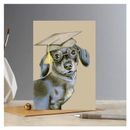 Deckled Edge Eureka! Card additional 7