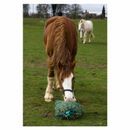 Trickle Net Mini additional 3