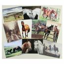Caroline Cook Equestrian Cards additional 1