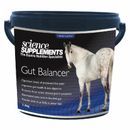 Science Supplements Gut Balancer additional 2