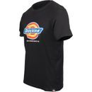 Dickies Denison Black Cotton T-Shirt additional 5