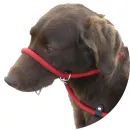 Miro &amp; Makauri Figure 8 Slip Dog Lead With Rubber Grip Handle additional 6