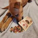 Miro &amp; Makauri Roast Dinner Bites Training Dog Treats (100g) additional 5