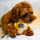 Miro &amp; Makauri Roast Dinner Bites Training Dog Treats (100g) additional 4