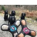 Miro &amp; Makauri Tuff Chew Chucker Floating Dog Toy - Natural/Navy additional 2