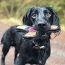 Miro &amp; Makauri Tuff Chew Chucker Floating Dog Toy - Natural/Pink additional 3