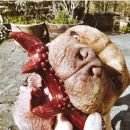 Miro &amp; Makauri Healthy Peanut Butter Antler Dog Treats - 17cm additional 5