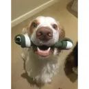 Miro &amp; Makauri Healthy Large Knotted Dog Bone Treats additional 2