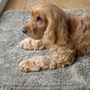 Pet Rebellion Big Softie Luxury Non-Slip Taupe Dog Mat additional 3