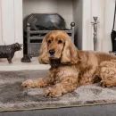 Pet Rebellion Big Softie Luxury Non-Slip Taupe Dog Mat additional 1