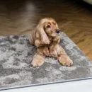 Pet Rebellion Big Softie Luxury Non-Slip Taupe Dog Mat additional 2