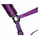 Hy Equestrian Dazzle Head Collar additional 7