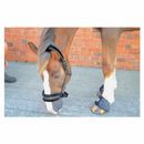 Hy Equestrian Dazzle Head Collar additional 15