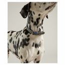 Joules Leather Dog Collar additional 1