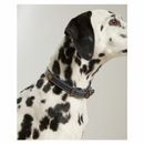 Joules Leather Dog Collar additional 2