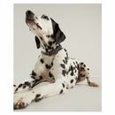 Joules Leather Dog Collar additional 3