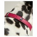 Joules Leather Dog Collar additional 5