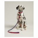 Joules Leather Dog Lead additional 6