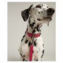 Joules Leather Dog Lead additional 7
