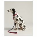 Joules Leather Dog Lead additional 8