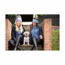 Hy Equestrian Synergy Diamante Headband - One Size additional 3