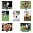 Kevin Milner Countryside Cards Ploughing Match/Working Hunter additional 3