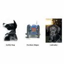 Kevin Milner Countryside Cards Ploughing Match/Working Hunter additional 12