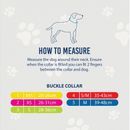 Ancol Viva Blue Buckle Collar additional 2