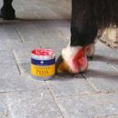 Carr &amp; Day Martin Protection Plus additional 3