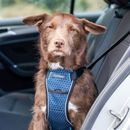 Carsafe Crash Tested Dog Harness additional 6
