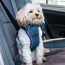 Carsafe Crash Tested Dog Harness additional 3
