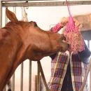 Equilibrium Munch Net additional 2