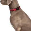 Halti Comfort Red Collar additional 2