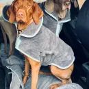 Henry Wag Drying Dog Coat additional 2