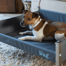 Henry Wag Elevated Dog Bed additional 2