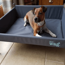 Henry Wag Elevated Dog Bed additional 4