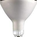 Intelec Hard Glass Infra - Red Heat Bulb 250W additional 3