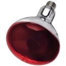 Intelec Hard Glass Infra - Red Heat Bulb 250W additional 1