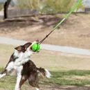 Jolly Pets Tree Tugger Bungee Rope Dog Toy - Green additional 2
