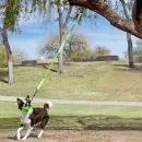 Jolly Pets Tree Tugger Bungee Rope Dog Toy - Green additional 4