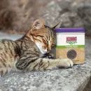 Kong Premium Catnip additional 3