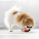 Kong Classic Dog Toy additional 3