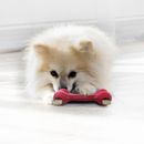 Kong Goodie Dog Bone additional 3