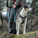 Kurgo Journey Dog Air Harness additional 1