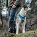 Kurgo Journey Air Dog Harness in Blue additional 5